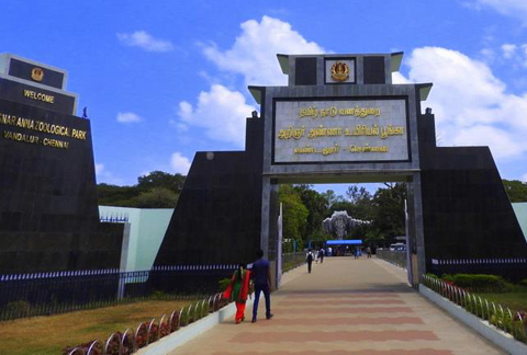 Arignar Anna Zoological Park