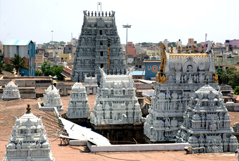 Parthasarathy temple
